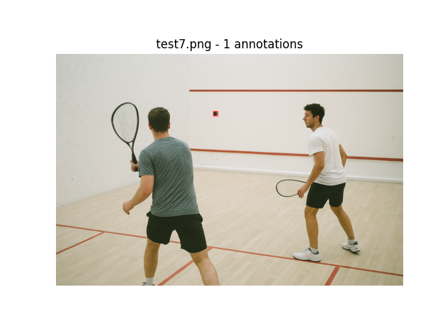 Squash court action